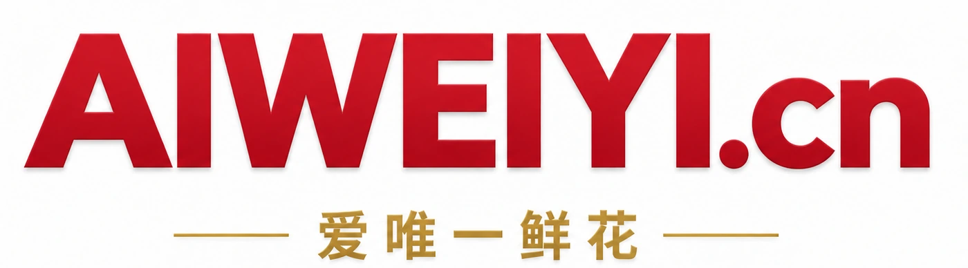 AIWEIYI